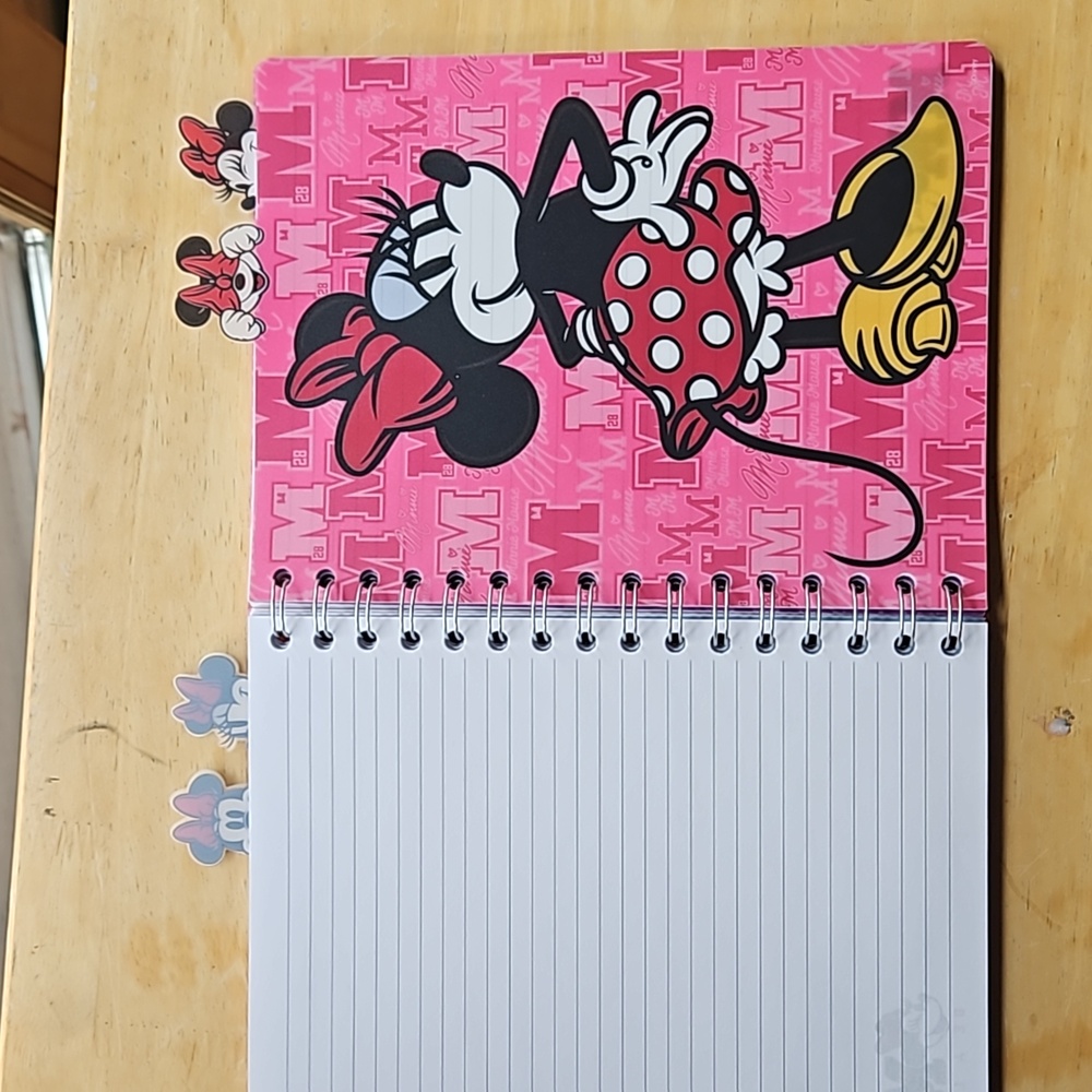 MINNIE MOUSE JOURNAL - Picture 5 of 12